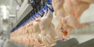 Bakanlık arztalep dengesi için kanatlı eti ihracatına 'dur' dedi