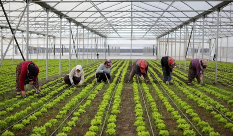 Bölgesel kalkınma için 15,6 milyar liralık yatırım yapılacak