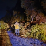 Bursa'da heyelan nedeniyle MudanyaAltıntaş yolu ulaşıma kapandı