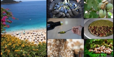 Coğrafi işaret başvurusunda Antalya, tescilinde Hatay zirvede yer aldı