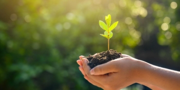 Erzurum'da 'Uzlaştırma Ormanı' oluşturulacak