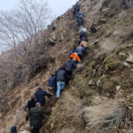 Hafif ticari araç dereye düştü: 3 ölü, 5 yaralı