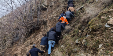 Hafif ticari araç dereye düştü: 3 ölü, 5 yaralı