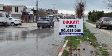 Hatay'da kuduz vakası nedeniyle 4 mahalle karantinaya alındı