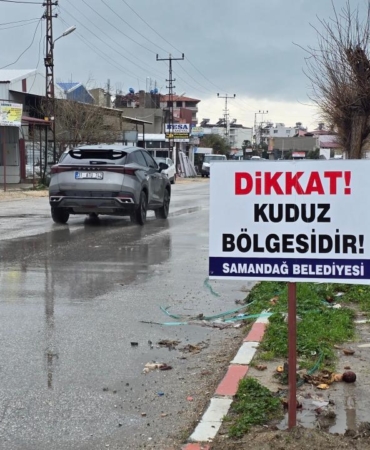 Hatay'da kuduz vakası nedeniyle 4 mahalle karantinaya alındı