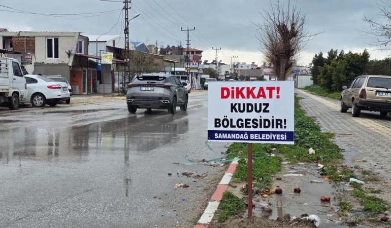 Hatay'da kuduz vakası nedeniyle 4 mahalle karantinaya alındı