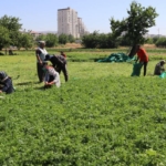 IPARDIII programında 214 projeye 1,7 milyar lira hibe