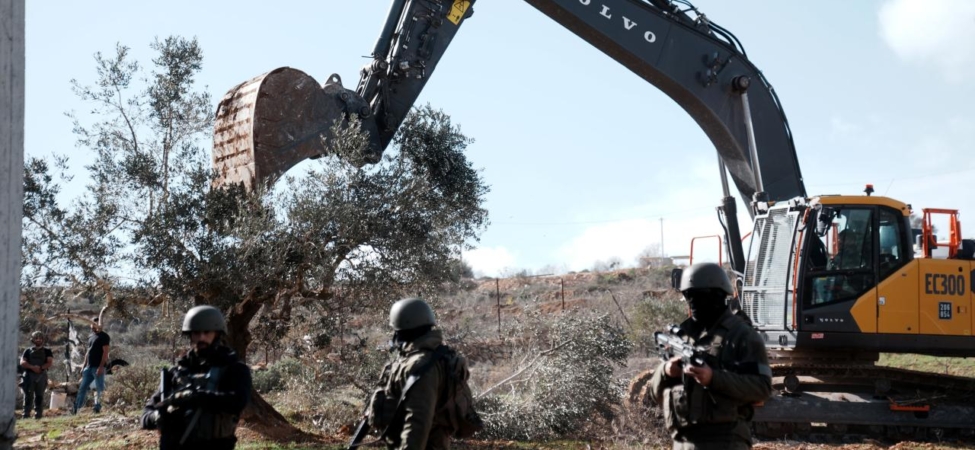 İşgalci İsrail, Batı Şeria'da 777 ağacı sökerek 761 bin dolarlık zarara yol açtı