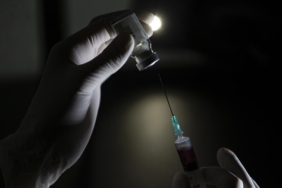 İstanbul'da kuduz riskli temas arttı: 123 bin başvuru