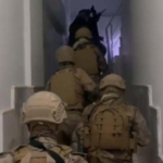 İzmir'de FETÖ'nün güncel yapılanmasına operasyon: 12 gözaltı