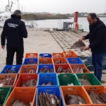 Kaçak avlanan 850 kilo kalkan balığına el konuldu