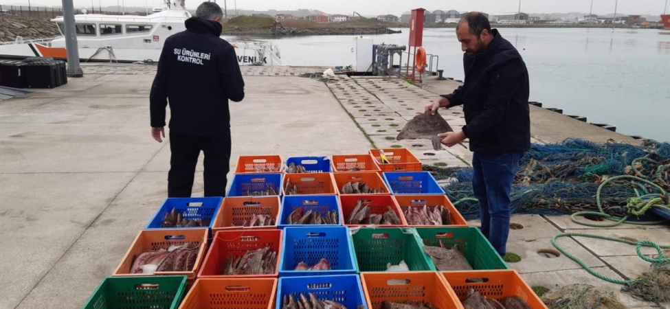 Kaçak avlanan 850 kilo kalkan balığına el konuldu