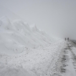 Karla mücadele ekiplerinin üzerine çığ düştü