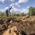 Kırsalda yaşayanların nüfusu azalıyor