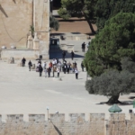 Mescidi Aksa'ya geçen yıl 65 bini aşkın işgalci baskın düzenledi