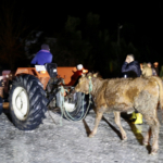 Muğla'nın Seydikemer ilçesindeki su baskını nedeniyle bazı evler tahliye edildi