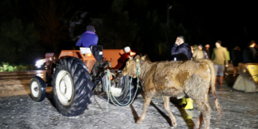 Muğla'nın Seydikemer ilçesindeki su baskını nedeniyle bazı evler tahliye edildi