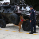 Ordu'nun kahraman patileri: 9 hassas burun suçlulara göz açtırmıyor