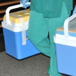 Organ bağışı 3 hastaya umut oldu