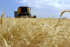 Tarım ÜFE ocakta aylık bazda arttı