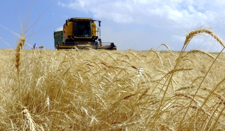 Tarım ÜFE ocakta aylık bazda arttı