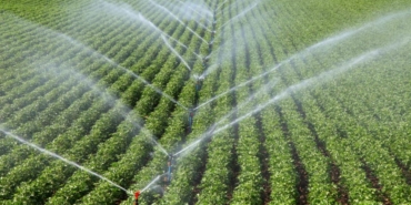 Tarımsal destek bütçesi geçen yıl 158,55 milyar liraya yükseldi