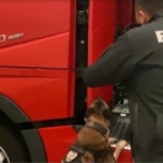 Uluslararası uyuşturucu ticaretiyle mücadele: 240 kilo uyuşturucu ele geçirildi