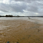 Uşak'ta tarım arazilerini ve iş yerlerini su bastı
