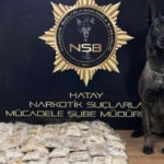 Zeytinyağı tenekelerinden 100 bin uyuşturucu hap çıktı