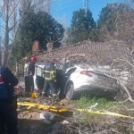 Aydın'da trafik kazası: 2 ölü, 1 yaralı
