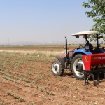 Bakanlık gübre tedarikinde sorun yaşanmaması için yeni önlemleri devreye aldı