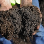 Gübre piyasalarında Hürmüz Boğazı krizi derinleşiyor