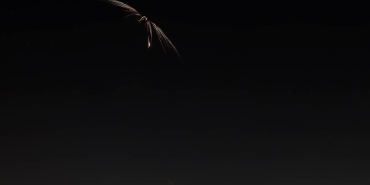 İran'dan İsrail'e fırlatılan füzeler Tel Aviv semalarında görüntülendi