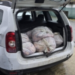 İstanbul'da piyasaya sürülmek üzere hazırlanan 306 kilogram at eti ele geçirildi