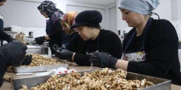 KOSGEB, 53 bin KOBİ'ye destek verecek