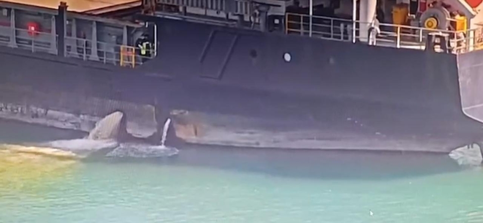 Mersinde denizi kirleten gemiye 13 milyon lira ceza