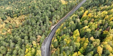 Ormanların bakımı ve gençleştirilmesine geçen yıl 2,3 milyar lira harcandı