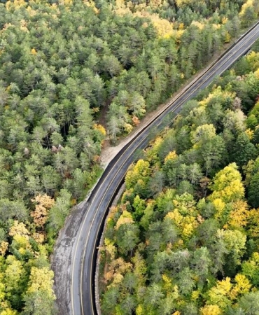 Ormanların bakımı ve gençleştirilmesine geçen yıl 2,3 milyar lira harcandı