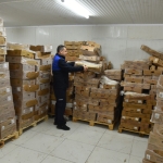 Şanlıurfa'da 50 ton bozuk tavuk ele geçirildi