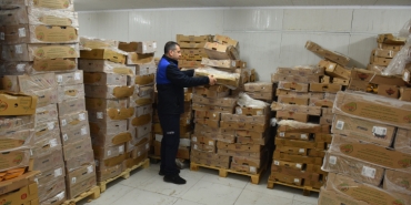 Şanlıurfa'da 50 ton bozuk tavuk ele geçirildi