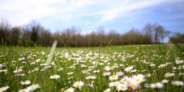 Son cemre toprakla buluştu