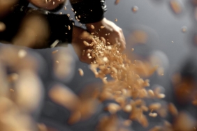 Tahıl tohumluklarının sertifikasyonu elektronik ortamda gerçekleştirilecek