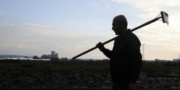 Tarım işçilerinin günlük ücreti 2025'te arttı