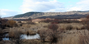 Tarımsal drenaj turbalıkları karbon fabrikasına çeviriyor