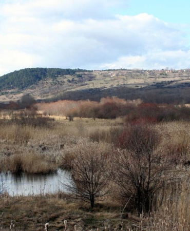Tarımsal drenaj turbalıkları karbon fabrikasına çeviriyor