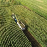 Tarımsal girdi fiyat endeksi ocakta arttı