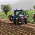 Ticaret Bakanlığı'ndan çiftçinin maliyetini düşürecek karar
