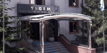 TİGEM 5 ton fıstık çamı kozalağını ihaleyle satacak