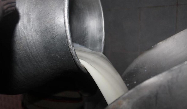 Toplanan inek sütü miktarı ocakta 944 bin 926 ton oldu