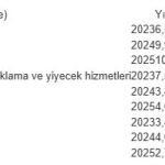 Türkiye ekonomisi 22 çeyrektir büyüyor: 3 sektörden büyük destek